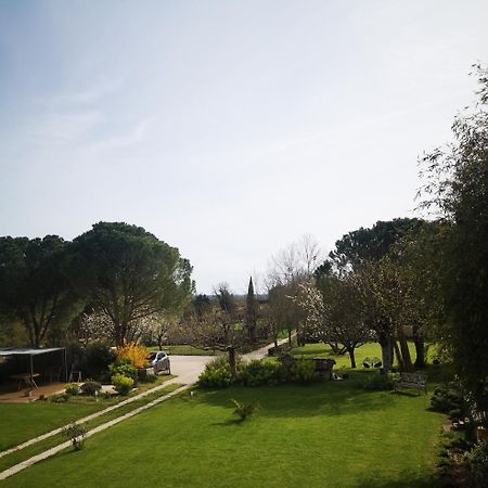 La Burie Bed & Breakfast Saint-Savinien Dış mekan fotoğraf