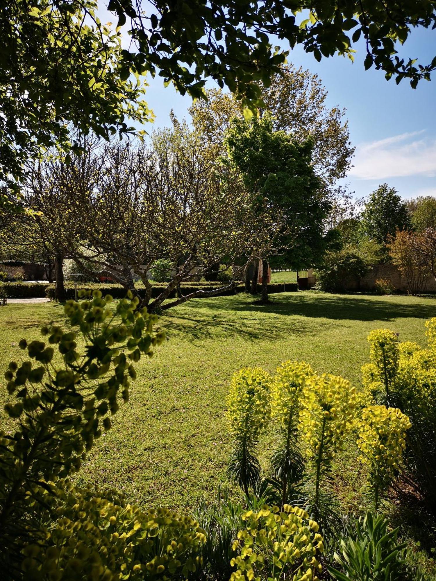 La Burie Bed & Breakfast Saint-Savinien Dış mekan fotoğraf
